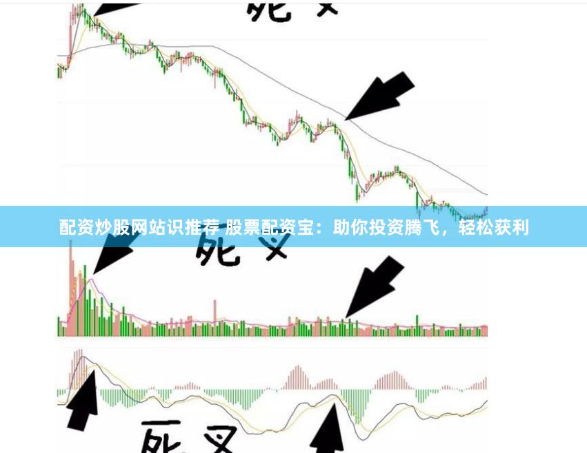 配资炒股网站识推荐 股票配资宝：助你投资腾飞，轻松获利